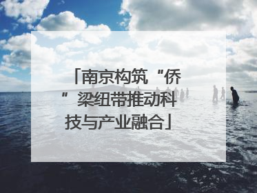 南京构筑“侨”梁纽带推动科技与产业融合