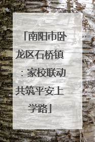 南阳市卧龙区石桥镇：家校联动共筑平安上学路