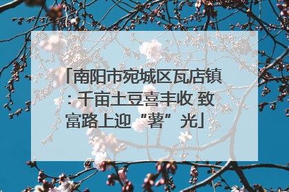 南阳市宛城区瓦店镇：千亩土豆喜丰收 致富路上迎“薯”光