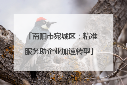 南阳市宛城区：精准服务助企业加速转型