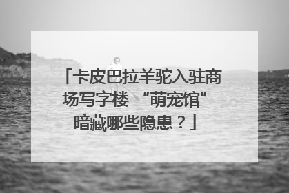 卡皮巴拉羊驼入驻商场写字楼 “萌宠馆”暗藏哪些隐患？