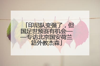 印尼队变强了，但国足世预赛有机会——专访北京国安荷兰籍外教杰森