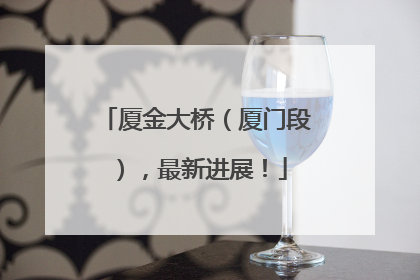 厦金大桥（厦门段），最新进展！