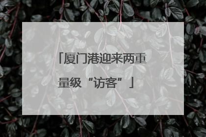 厦门港迎来两重量级“访客”