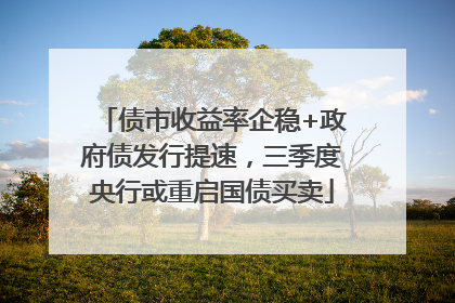 债市收益率企稳+政府债发行提速，三季度央行或重启国债买卖