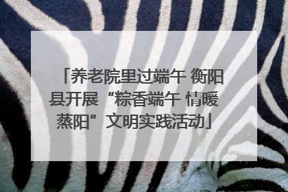 养老院里过端午 衡阳县开展“粽香端午 情暖蒸阳”文明实践活动