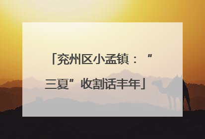 兖州区小孟镇：“三夏”收割话丰年