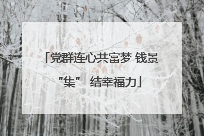 党群连心共富梦 钱景 “集” 结幸福力