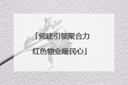 党建引领聚合力 红色物业暖民心