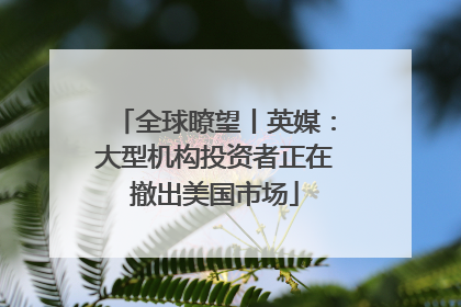 全球瞭望丨英媒：大型机构投资者正在撤出美国市场
