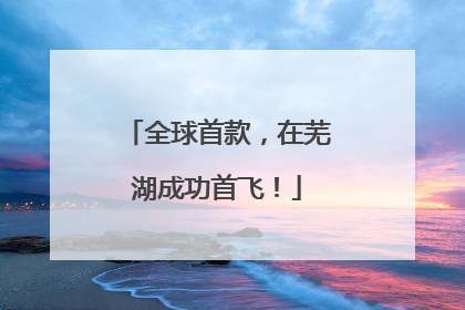 全球首款，在芜湖成功首飞！