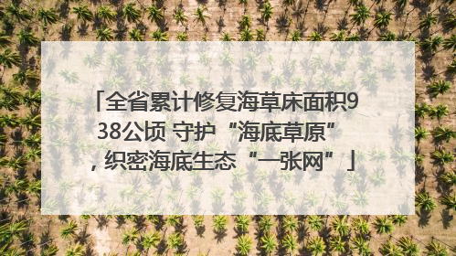 全省累计修复海草床面积938公顷 守护“海底草原”，织密海底生态“一张网”