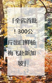全省首批！300公斤出口鲜杨梅飞赴新加坡