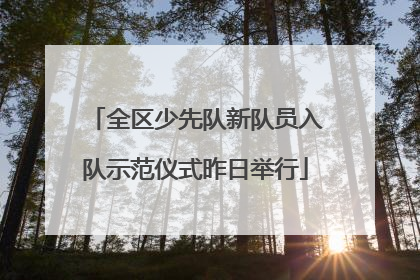 全区少先队新队员入队示范仪式昨日举行