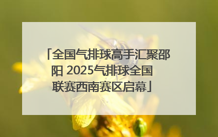 全国气排球高手汇聚邵阳 2025气排球全国联赛西南赛区启幕