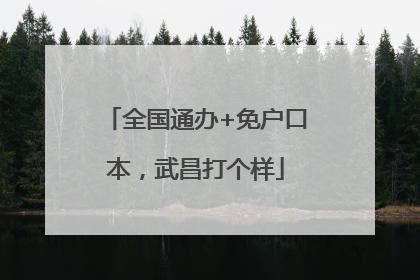 全国通办+免户口本，武昌打个样