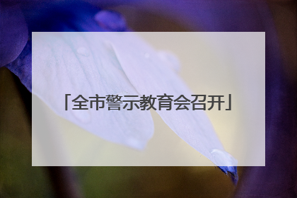 全市警示教育会召开