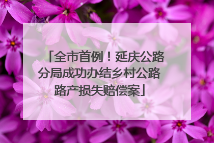 全市首例！延庆公路分局成功办结乡村公路路产损失赔偿案