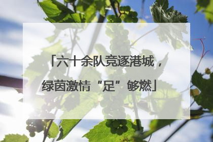 六十余队竞逐港城，绿茵激情“足”够燃