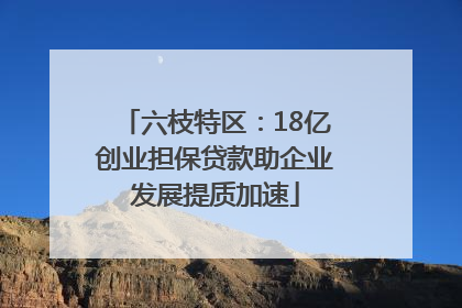 六枝特区：18亿创业担保贷款助企业发展提质加速
