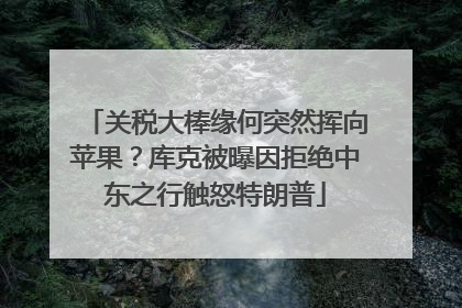 关税大棒缘何突然挥向苹果？库克被曝因拒绝中东之行触怒特朗普