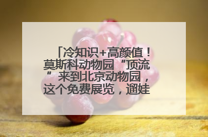冷知识+高颜值！莫斯科动物园“顶流”来到北京动物园，这个免费展览，遛娃拍照两不误！