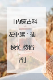 内蒙古科左中旗：插秧忙 待稻香
