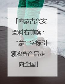 内蒙古兴安盟科右前旗：“蒙”字标引领农畜产品走向全国