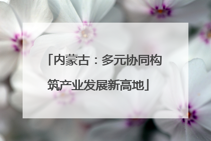 内蒙古：多元协同构筑产业发展新高地