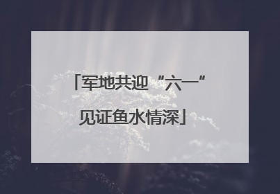 军地共迎“六一” 见证鱼水情深