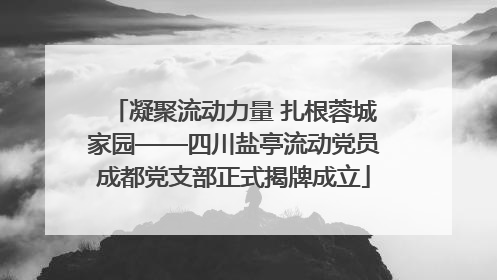凝聚流动力量 扎根蓉城家园——四川盐亭流动党员成都党支部正式揭牌成立
