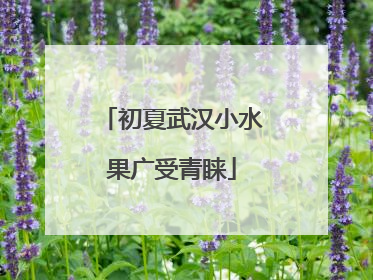 初夏武汉小水果广受青睐