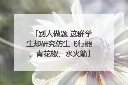 别人做题 这群学生却研究仿生飞行器、青花椒、水火箭