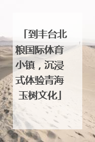到丰台北粮国际体育小镇，沉浸式体验青海玉树文化