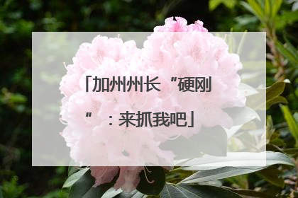 加州州长“硬刚”：来抓我吧