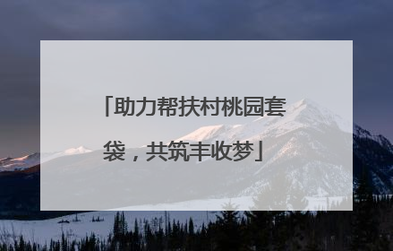 助力帮扶村桃园套袋，共筑丰收梦