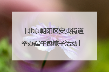 北京朝阳区安贞街道举办端午包粽子活动