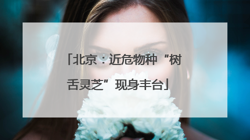 北京：近危物种“树舌灵芝”现身丰台