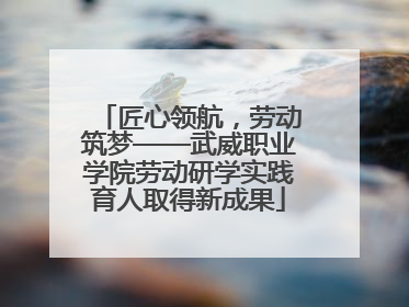 匠心领航，劳动筑梦——武威职业学院劳动研学实践育人取得新成果