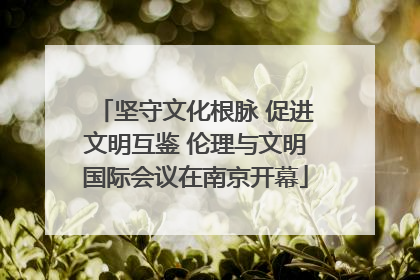 坚守文化根脉 促进文明互鉴 伦理与文明国际会议在南京开幕