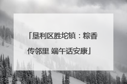 垦利区胜坨镇：粽香传邻里 端午话安康