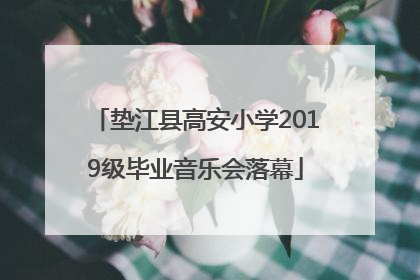 垫江县高安小学2019级毕业音乐会落幕