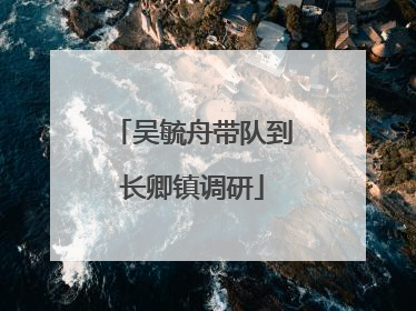 吴毓舟带队到长卿镇调研