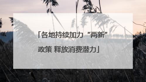 各地持续加力“两新”政策 释放消费潜力