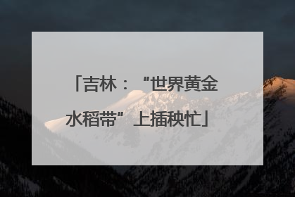 吉林：“世界黄金水稻带”上插秧忙