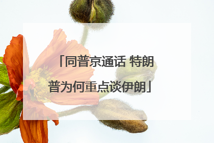 同普京通话 特朗普为何重点谈伊朗