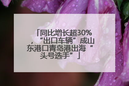同比增长超30%，“出口车辆”成山东港口青岛港出海“头号选手”