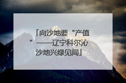 向沙地要“产值”——辽宁科尔沁沙地兴绿见闻