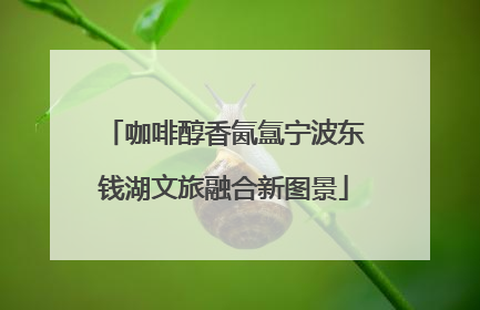 咖啡醇香氤氲宁波东钱湖文旅融合新图景