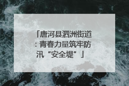 唐河县泗洲街道：青春力量筑牢防汛“安全堤”